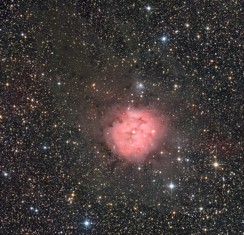 A compact emission and reflection nebula in Cygnus, surrounded by subtle dusty structures and a dense star field.